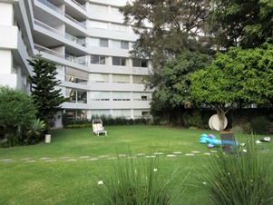 6218e.jpg