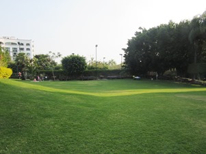 6218f.jpg