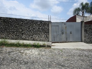 6436d.jpg