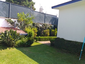 6517f.jpg