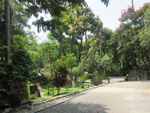 6764d.jpg