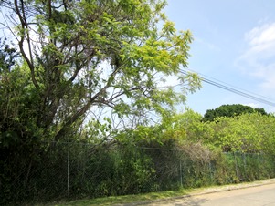 7180a.jpg