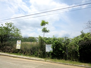 7180d.jpg
