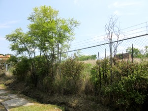 7180e.jpg