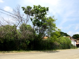 7180f.jpg