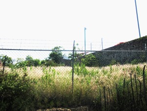 7181a.jpg