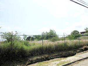 7181e.jpg